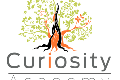 Curiosity logo